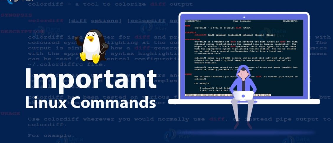 Linux Commands for Appending Multiple Lines to a File - Tech Chronicles
