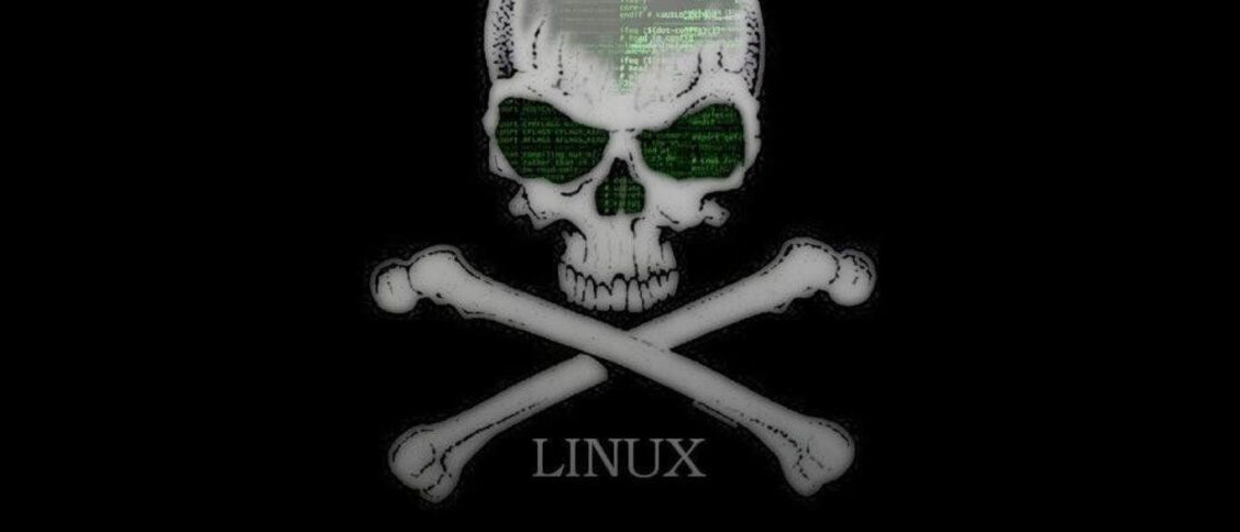 Exploiting the proftpd Linux Server